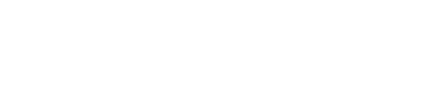 DANPE - Autoridade Local